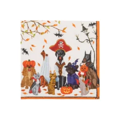 Halloween Pets Recycled Cocktail Napkins - includes 20 Cocktail Napkins