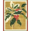 Holly Classic Boxed Christmas Cards - includes 15 cards & envelopes