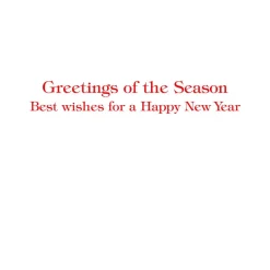 Holly Sprig Petite Boxed Christmas Cards - includes 15 cards & envelopes