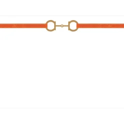 Horse Bit Combo Foil Correspondence Cards - 12 Card & Envelopes