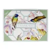 Hummingbird Trellis Thank You Notes - 8 Note Cards And Envelopes