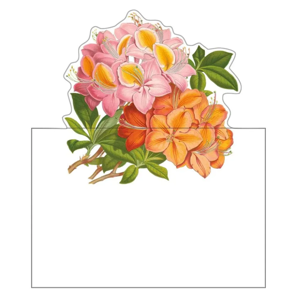 Jefferson's Garden Study Place Cards Die Cut Package 8 In