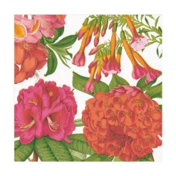 Jefferson's Garden Study Paper Luncheon Napkins in White - 20 Per Package