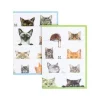 Kitties Boxed Note Cards - 8 Note Cards & 8 Envelopes