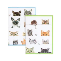 Kitties Boxed Note Cards - 8 Note Cards & 8 Envelopes