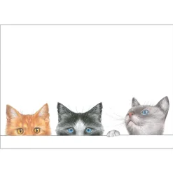 Kitties Self-Adhesive Labels - 12 Per Package