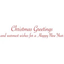 Leaf Wreath With Plaid Bow Large Boxed Christmas Cards - includes 15 Boxed Christmas Cards