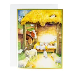Manger Scene Boxed Christmas Cards - 15 Christmas Cards & 15 Envelopes