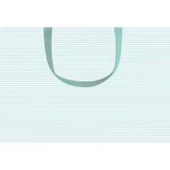 Mini Stripe Medium Gift Bag in Robin's Egg - 1 Each