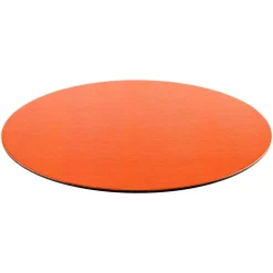 Orange Lizard Felt-Backed Placemats - 1 Each