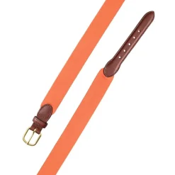 Orange Wide Belgian Surcingle Belt