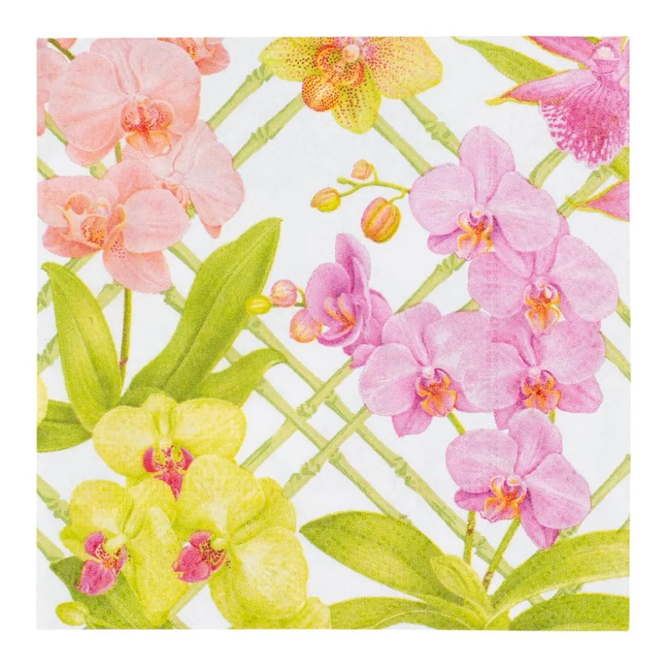 Orchid Conservatory Cocktail Napkins - 20 Per Package