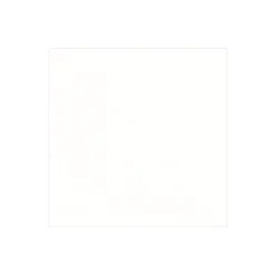 Paper Linen Solid Cocktail Napkins in White - 15 Per Package