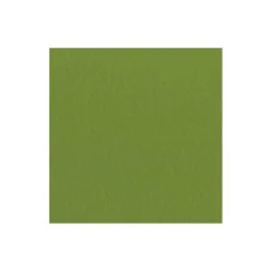 Paper Linen Solid Cocktail Napkins in Leaf Green - 15 Per Package