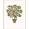 Partridge in a Pear Tree Foil Embossed Large Boxed Christmas Cards - includes 10 Cards & Envelopes