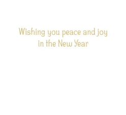 Peace Dove With Holly Branch B-Size Boxed Christmas Cards - 15 Cards And Envelopes