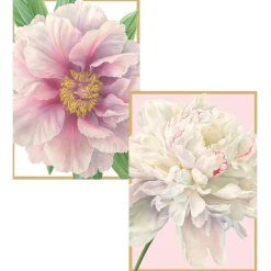 Peony Boxed Note Cards - 8 Note Cards & 8 Envelopes