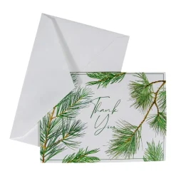 Pine Branches Thank You Notes - 8 Note Cards And Envelopes