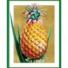 Pineapple Classic Boxed Christmas Cards - includes 15 cards & envelopes