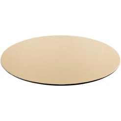 Platinum Lizard Felt-Backed Placemats - 1 Each