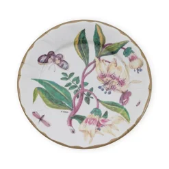 Porcelain Blooms Ivory Dinner Plates - 8 Per Package