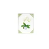 Potted Orchids Boxed Note Cards - 10 Cards and 10 Envelopes per Package