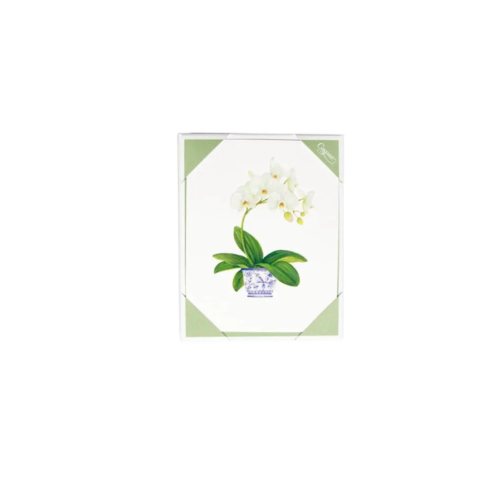 Potted Orchids Boxed Note Cards - 10 Cards and 10 Envelopes per Package
