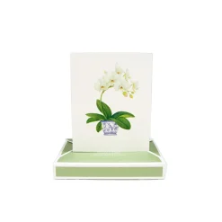 Potted Orchids Boxed Note Cards - 10 Cards and 10 Envelopes per Package