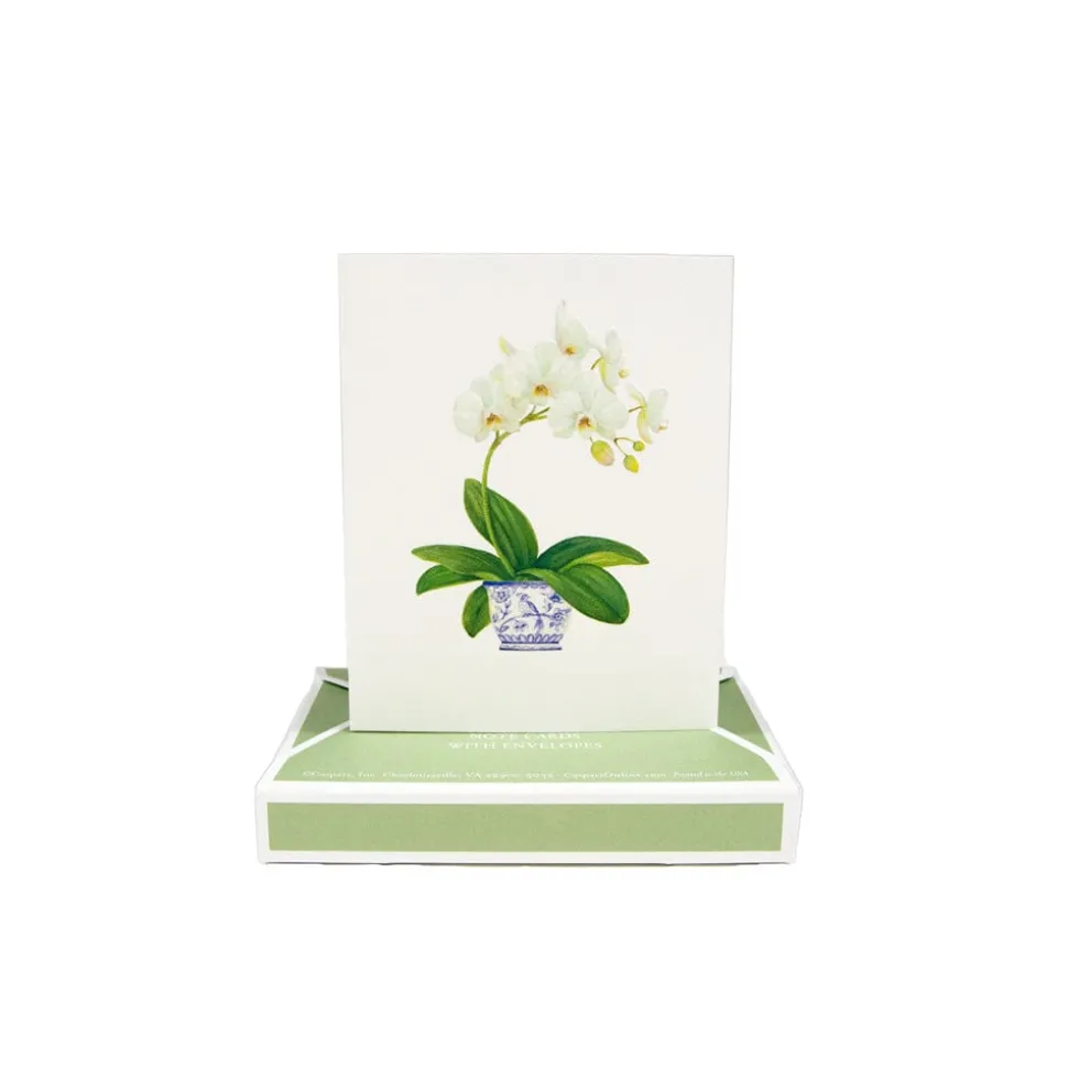 Potted Orchids Boxed Note Cards - 10 Cards and 10 Envelopes per Package