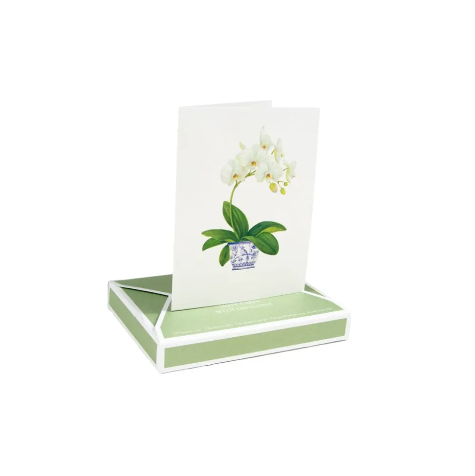 Potted Orchids Boxed Note Cards - 10 Cards and 10 Envelopes per Package