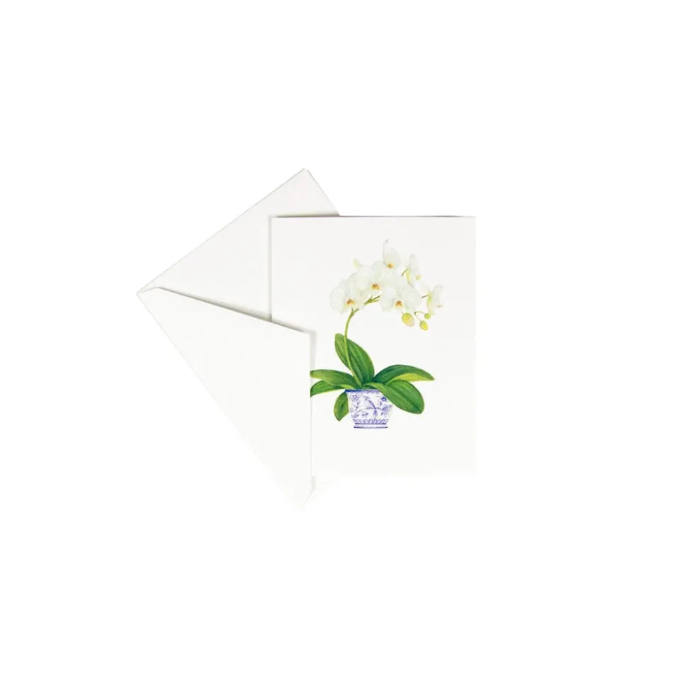 Potted Orchids Boxed Note Cards - 10 Cards and 10 Envelopes per Package