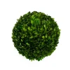 Preserved Boxwood Ball- 12"