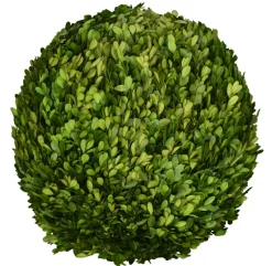 Preserved Boxwood Ball- 16"