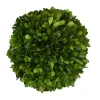 Preserved Boxwood Ball- 6"