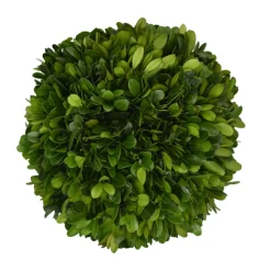 Preserved Boxwood Ball- 6"