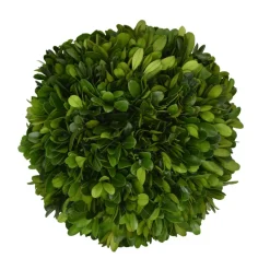 Preserved Boxwood Ball- 8"