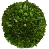 Preserved Boxwood Ball- 10"