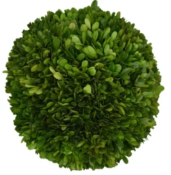 Preserved Boxwood Ball- 10"