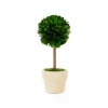 Preserved Boxwood Mini 6" Topiary Trees - Set of 4