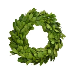 Preserved Boxwood Mini 6" Wreath & Candle Rings - Set of 2
