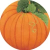 Pumpkin Round Paper Placemats - 12 Per Package