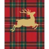 Royal Plaid Reindeer Foil Enclosure Cards & Envelopes - includes 4 Enclosure Cards & Envelopes