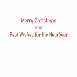 Santa With Botanical Border A-Size Boxed Christmas Cards - 15 Cards And Envelopes