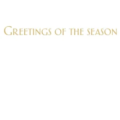 Snowy Tree In The Night Classic Boxed Christmas Cards - includes 15 cards & envelopes