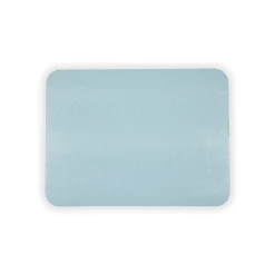 Soft Aqua Lizard Placemat - 1 Per Package