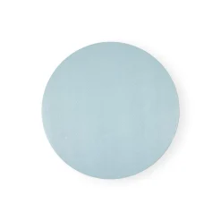Soft Aqua Lizard Round Placemat - 1 Per Package