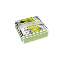 Southern Palms Green & White Boxed Cocktail Napkins - 40 Per Box