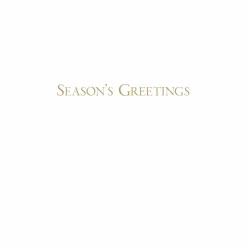 Spring Snow Over Central Park Large Boxed Christmas Cards - includes 15 cards & envelopes