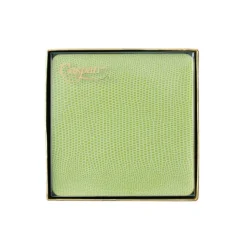 Square Lizard Coasters in Green - 8 Per Box
