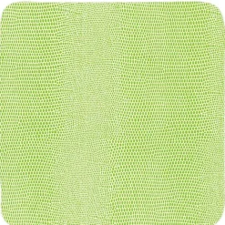 Square Lizard Coasters in Green - 8 Per Box